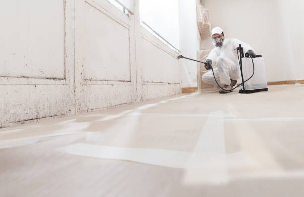 Post-remediation clearance in Kearny